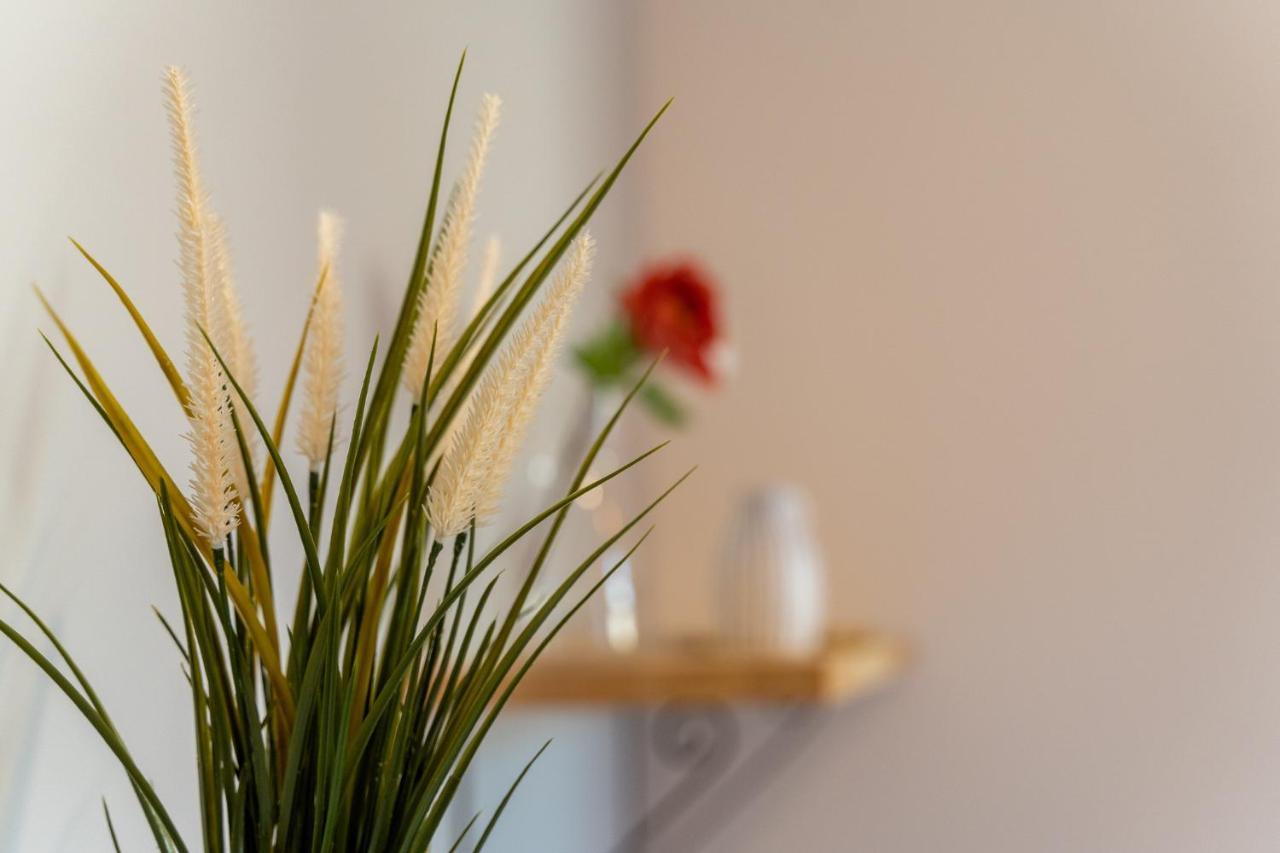 Apartamenty Nad Niwka Bielsko-Biała Kültér fotó